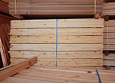 槙（まき） 製材後乾燥前