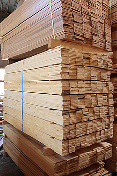 写真：槙（まき） 製材後乾燥前