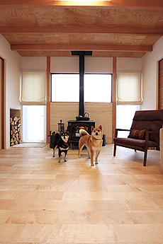 国産　板屋楓（イタヤ カエデ）無垢フローリング　施工写真