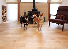 国産 板屋楓（イタヤ カエデ） 無垢フローリング 施工写真