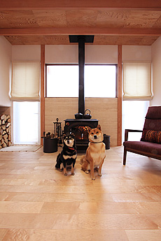 国産　板屋楓（イタヤ カエデ）無垢フローリング　施工写真