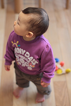 ホワイト オーク 無垢フローリング　施工写真