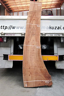 写真：欅（ケヤキ）耳付板