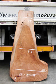 写真：欅（ケヤキ）耳付板