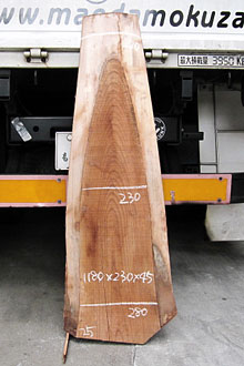 写真：欅（ケヤキ）耳付板