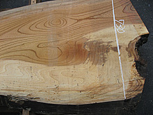 写真：欅（ケヤキ）耳付板