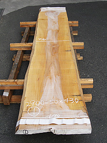 写真：欅（ケヤキ）耳付板