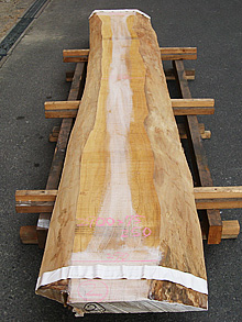 写真：欅（ケヤキ）耳付板