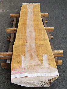 写真：欅（ケヤキ）耳付板