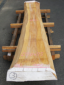 写真：欅（ケヤキ）耳付板