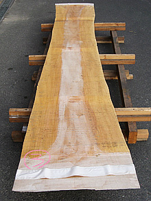 写真：欅（ケヤキ）耳付板