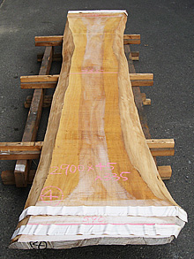 写真：欅（ケヤキ）耳付板