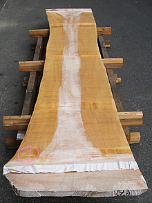 写真：欅（ケヤキ）耳付板