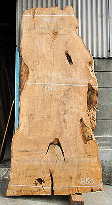 写真：国産栗（くり）耳付板