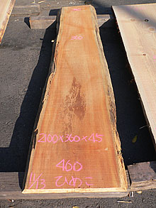 写真：ひめこ耳付板