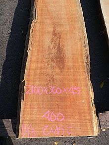 写真：ひめこ耳付板