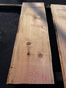 写真：木曽椹（さわら）耳付板