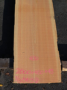 写真：木曽椹（さわら）耳付板