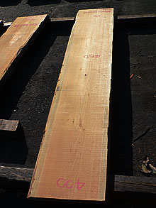 写真：木曽椹（さわら）耳付板