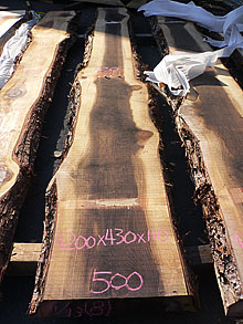 写真：杉（すぎ）耳付板