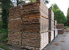 写真：青森ヒバ　原板　自然乾燥