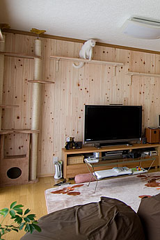 桧（ひのき）　無垢羽目板　施工写真