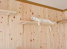 桧（ひのき） 無垢羽目板（節あり） 施工写真