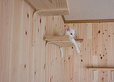 桧（ひのき）　無垢羽目板　施工写真