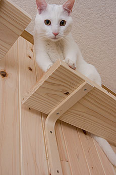 桧（ひのき）　無垢羽目板　施工写真