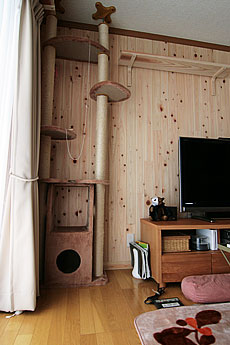 桧（ひのき）　無垢羽目板　施工写真