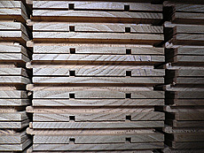 写真：加工後のクリ材