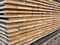 写真：クリ原板　自然乾燥