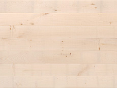 写真：ヨーロピアン・メープル（シカモア）　無垢フローリング　無塗装・一枚物・小節