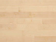 写真：ヨーロピアン・メープル（シカモア）　無垢フローリング　自然OIL WAX塗装・UNI・節なし