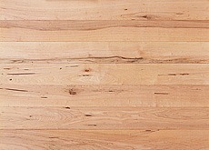 写真：楓（かえで） 無垢フローリング　一枚物　無塗装　節あり