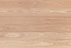 写真：タモ（アッシュ）　無垢フローリング（無塗装・一枚物　節あり）