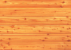 写真：唐松 羽目板 自然OIL wax塗装品・節有り