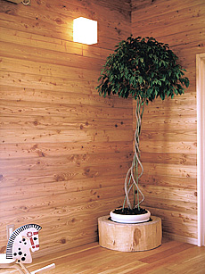 唐松 羽目板 施工写真