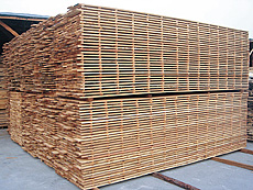 写真：天然乾燥