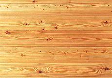 写真：唐松 無垢フローリング 幅広135mm 塗装品（自然OILwax）・節有り